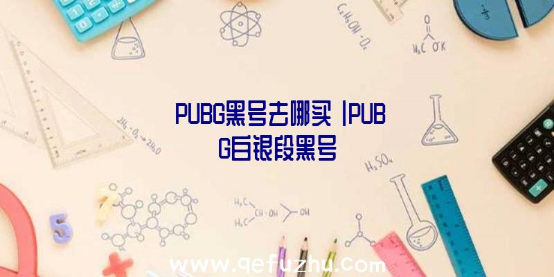 「PUBG黑号去哪买」|PUBG白银段黑号